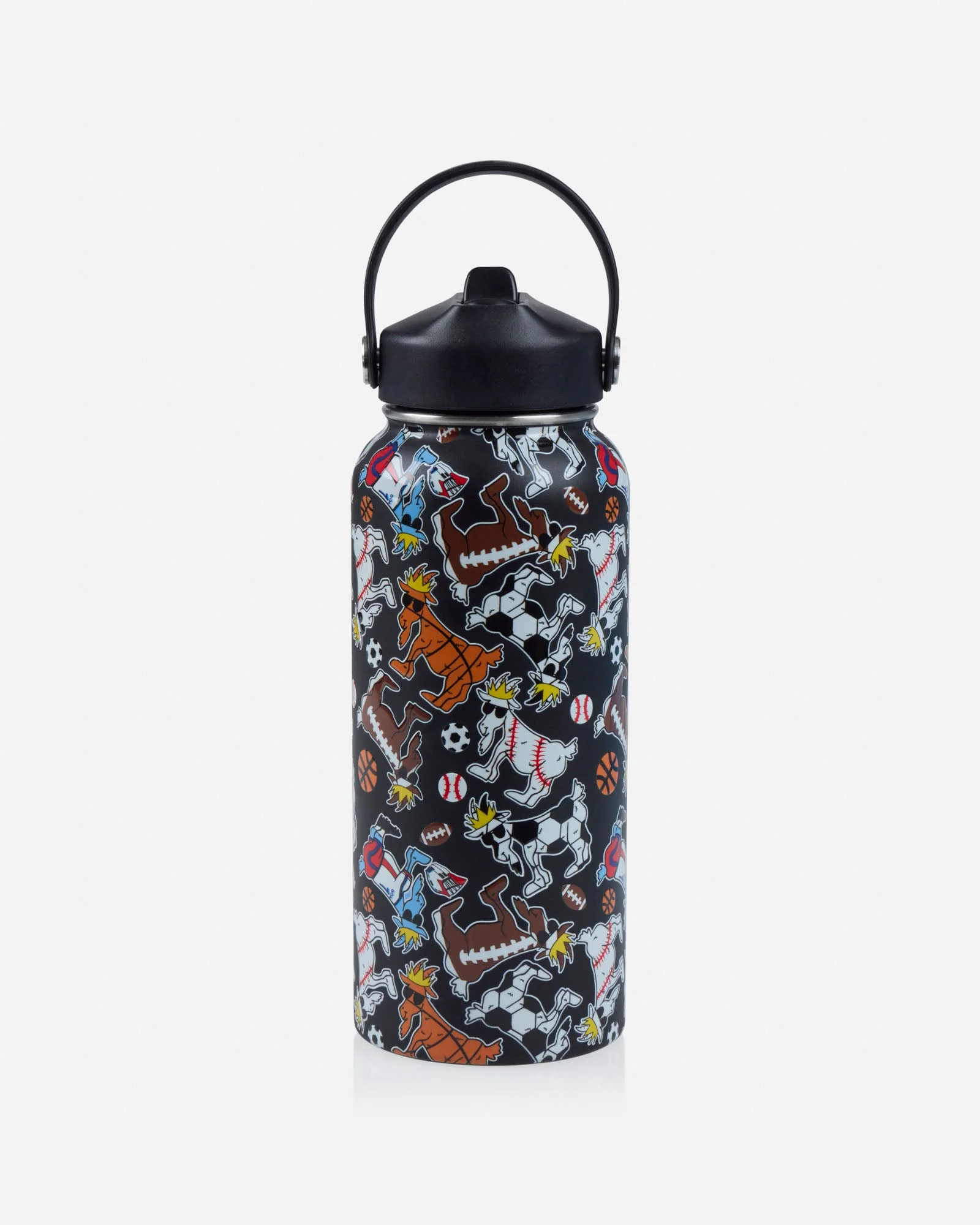 Sports Water Bottle