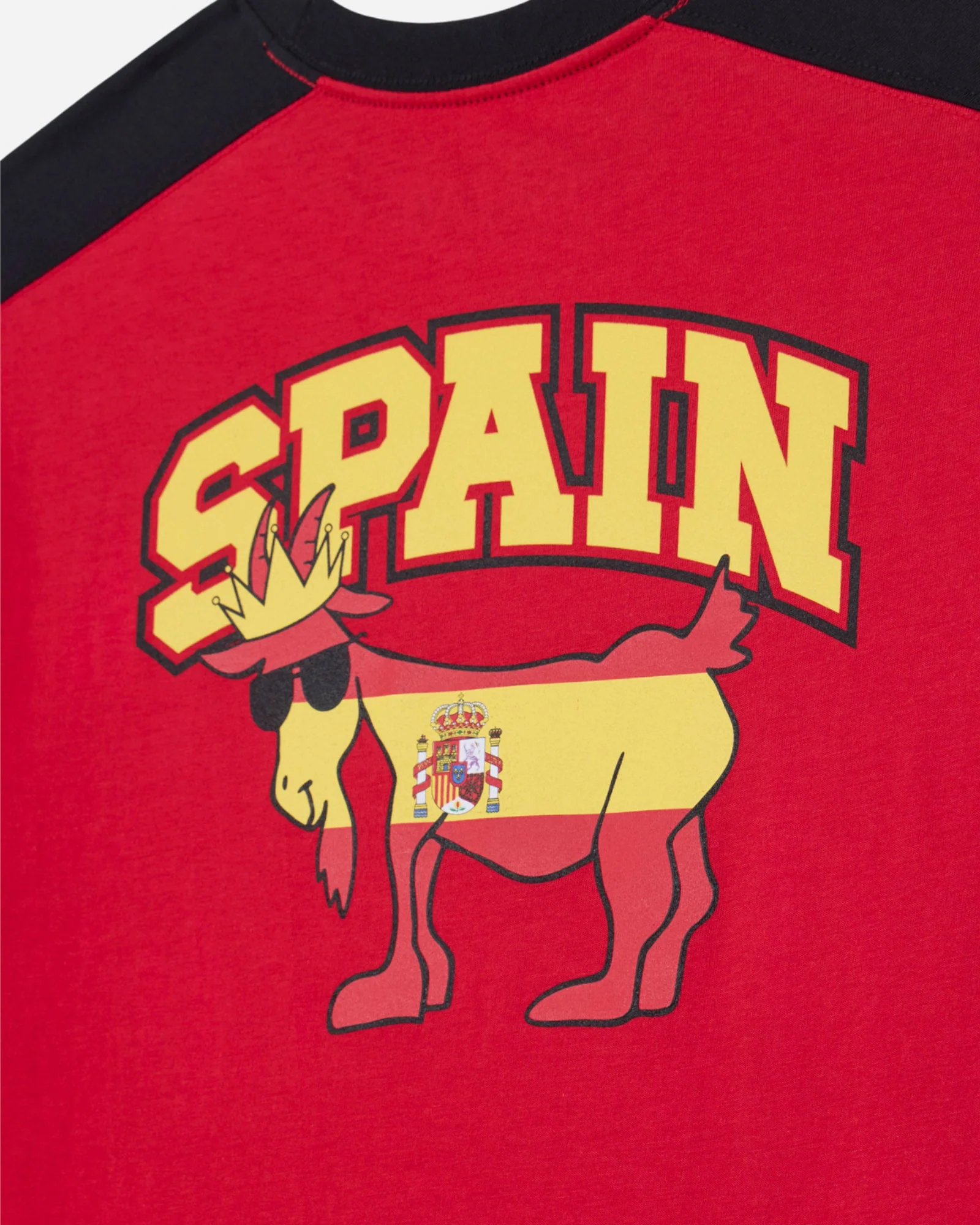 Spain T-Shirt