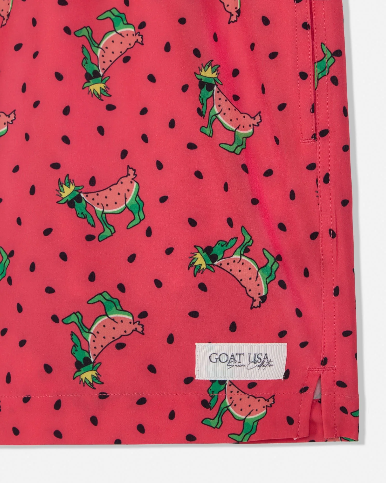 Toddler Watermelon Bathing Suit