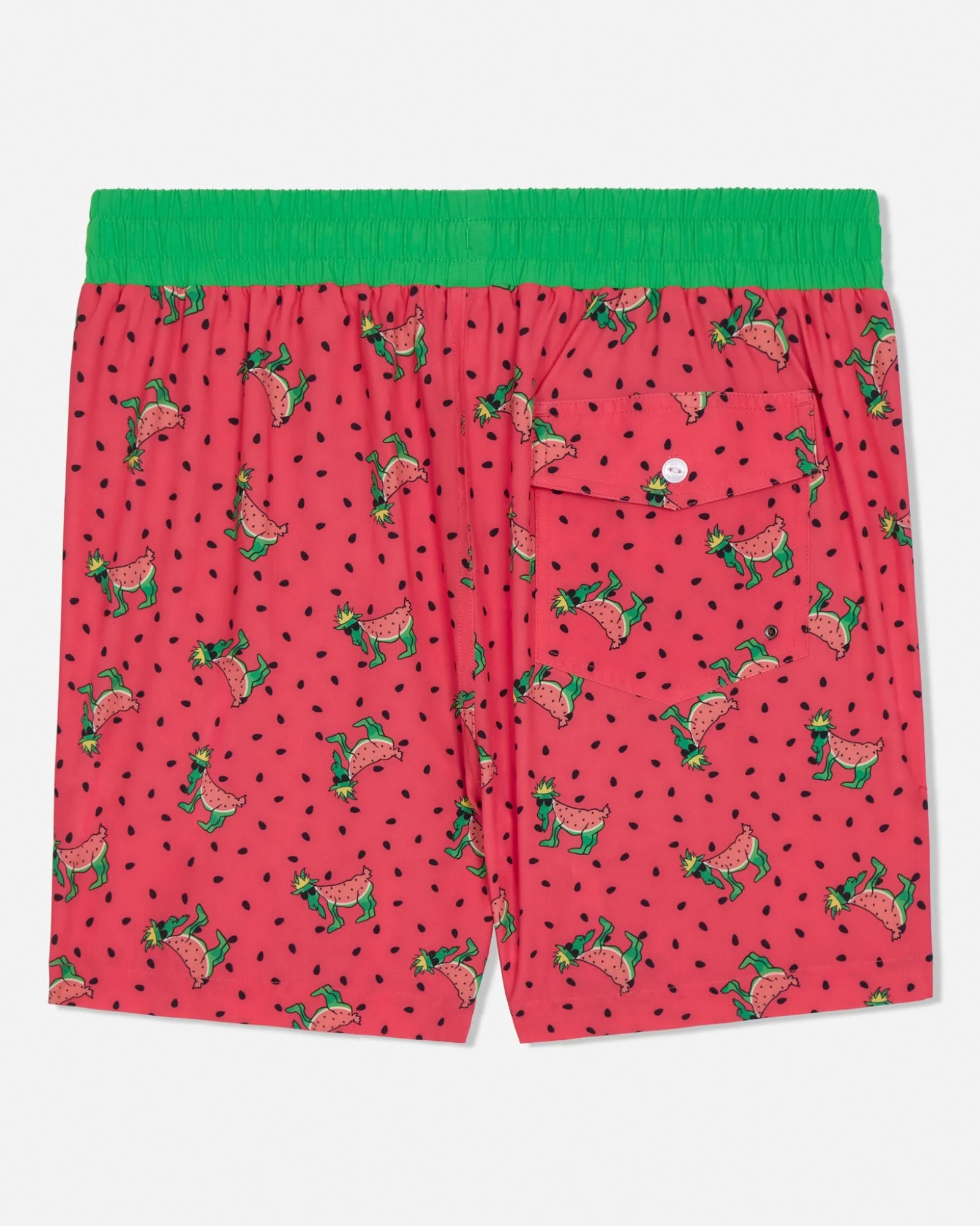 Toddler Watermelon Bathing Suit