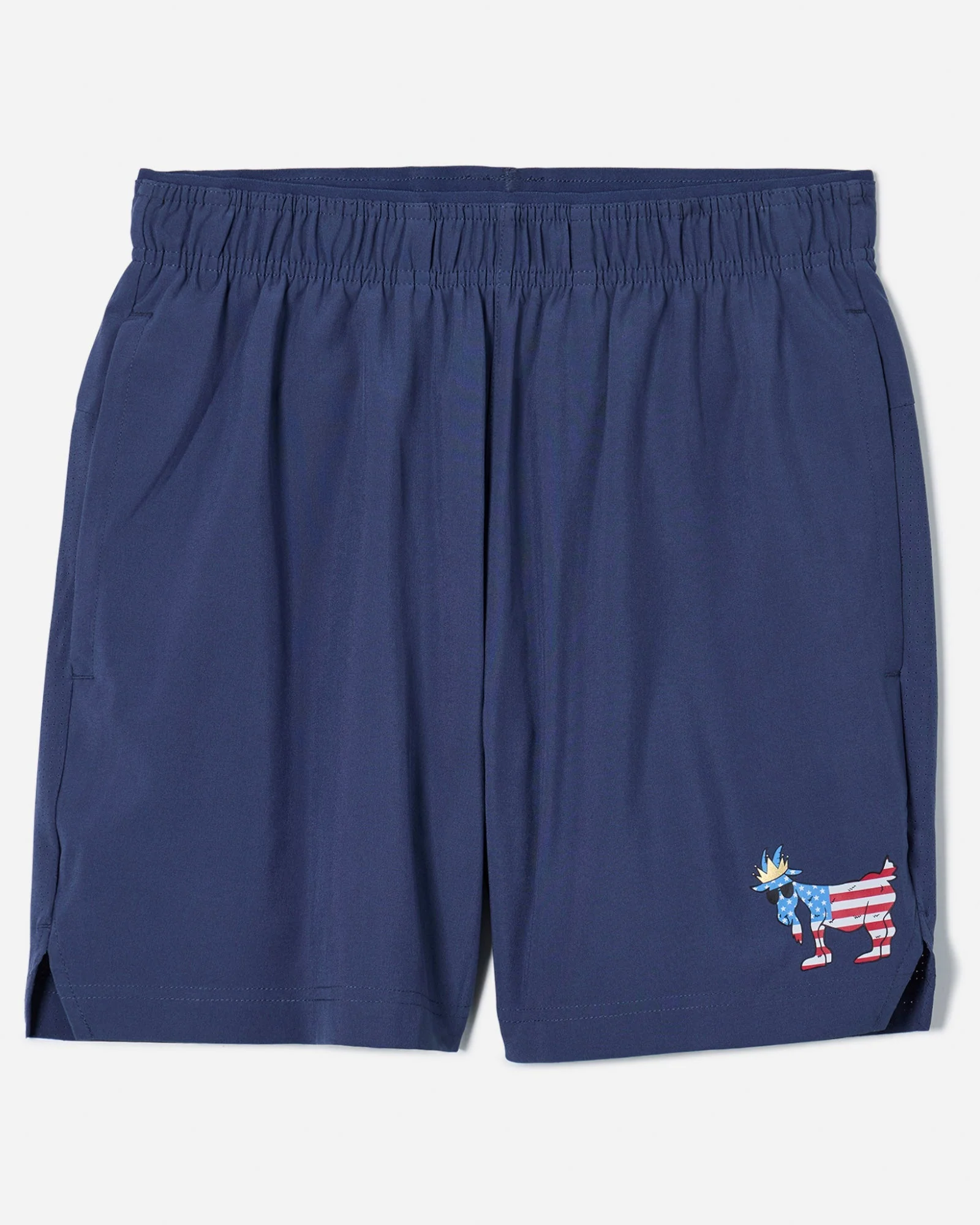 Boys' Freedom 6" Lined Shorts